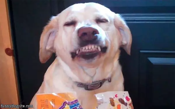 Big Cheeeeese