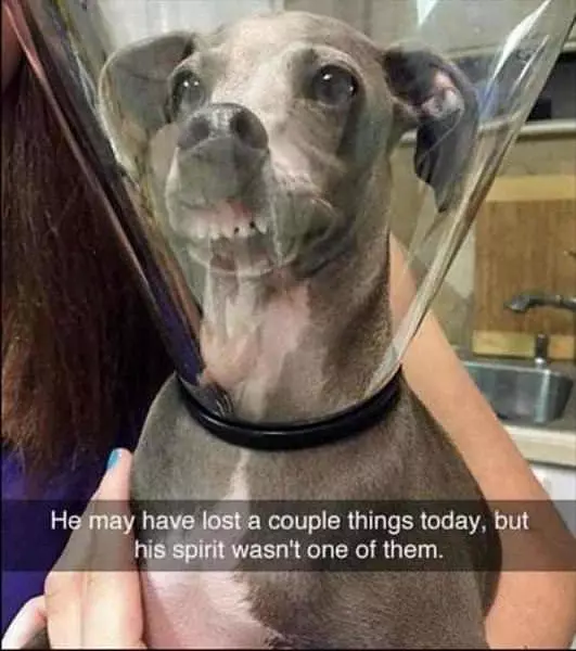 May Have Lost Some Things