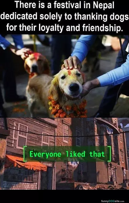 A Festival