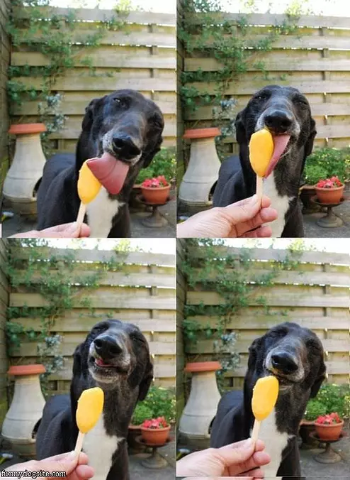 Sour Popsicle
