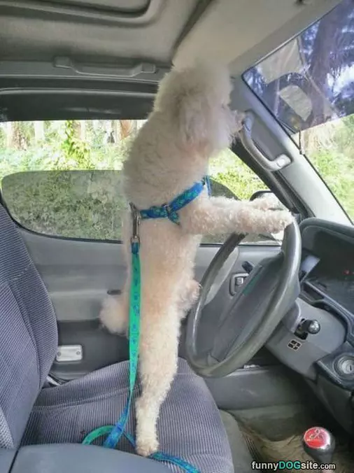 Lets Go For A Quick Drive