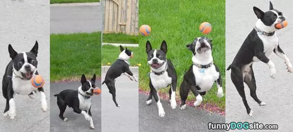 Jumpy Jumpy Jumpy
