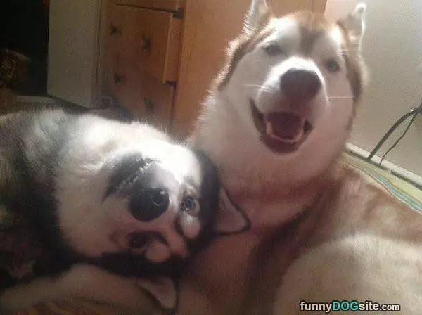 We Are Good Friends