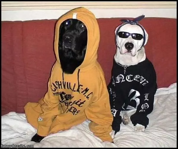 Gangstas