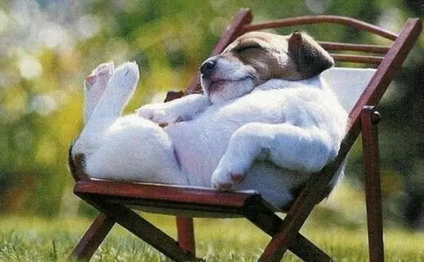 Relaxed