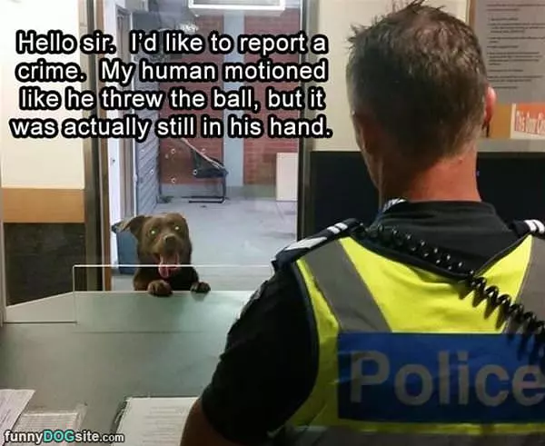 Would Like To Report A Crime