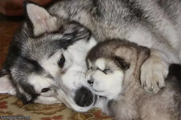 Cute Sleeping