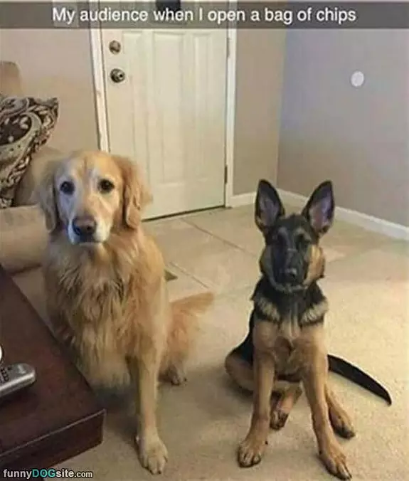 Audience When I Open A Bag Of Chips