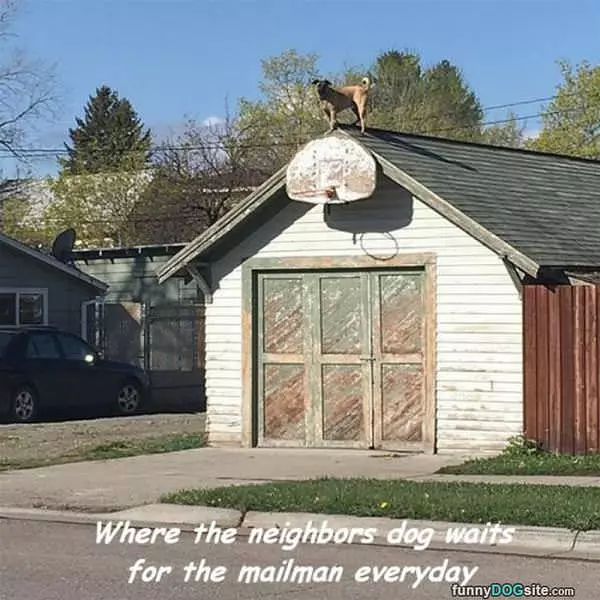 Waiting For The Mailman