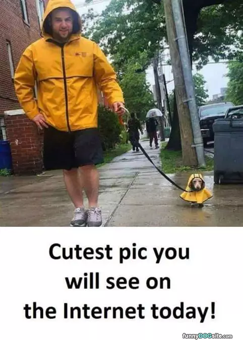 Cutes Today