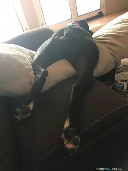 How I Sleep Now