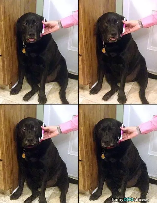 This Call Sucks