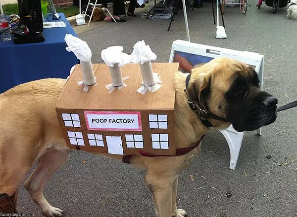 Poop Factory