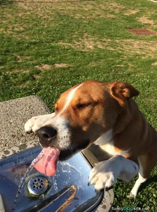 This Is Delicious Water