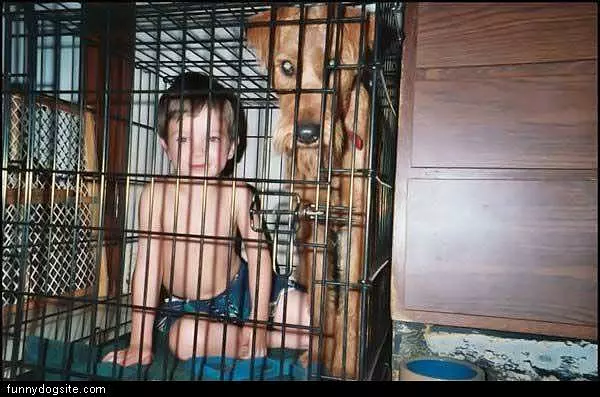 Sharing A Cage