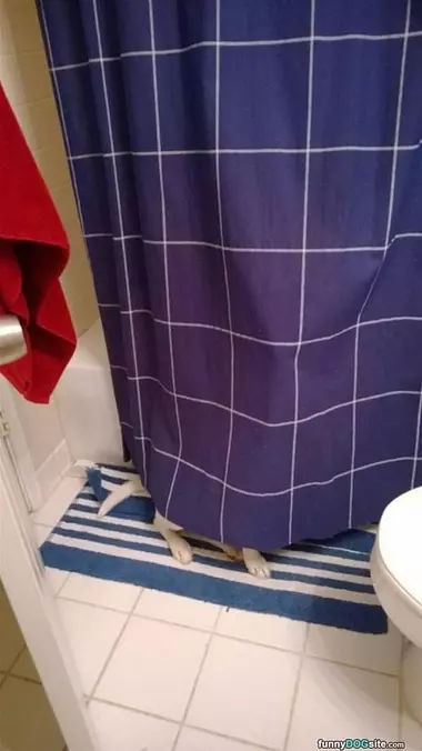 Nobody Can See Me Here