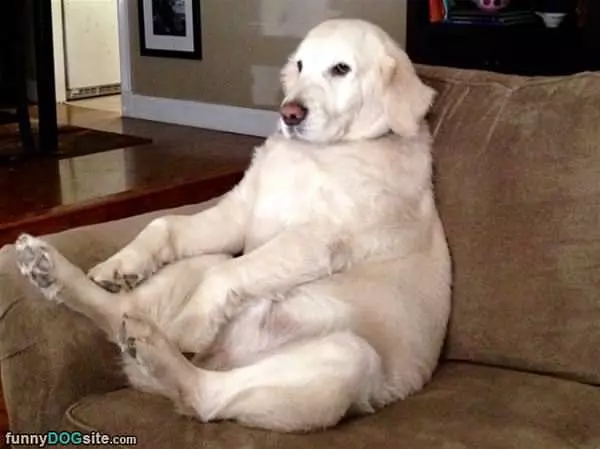 This Is How I Chill