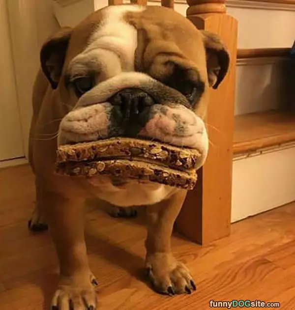 An Entire Sandwich