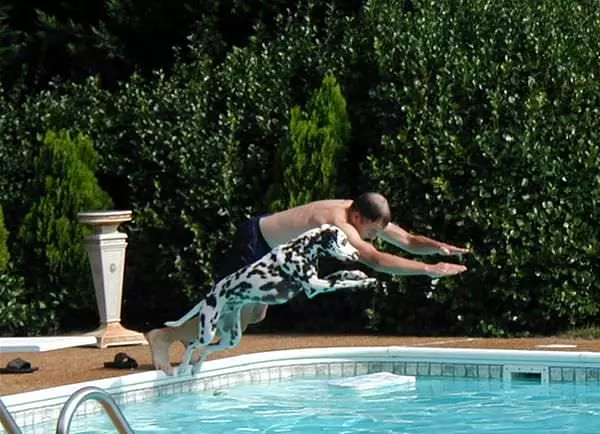 Diving Lessons