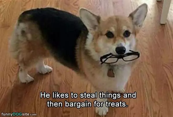 Bargain For Treats