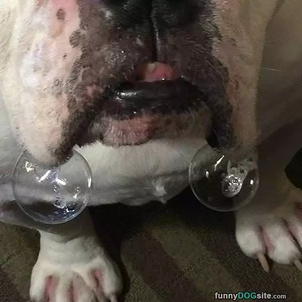 Bubbles