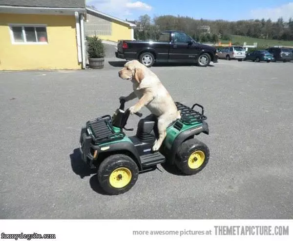 Going For A Ride