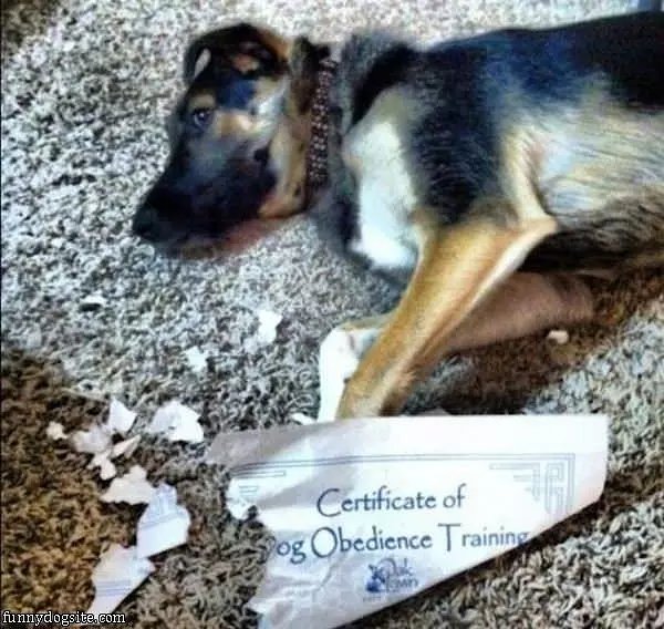 Certified