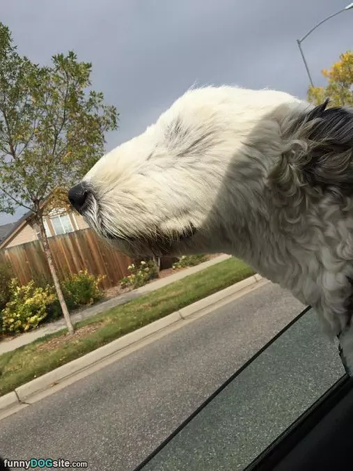 Such A Windy Day