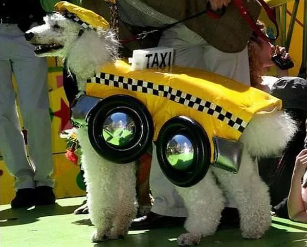 Taxi