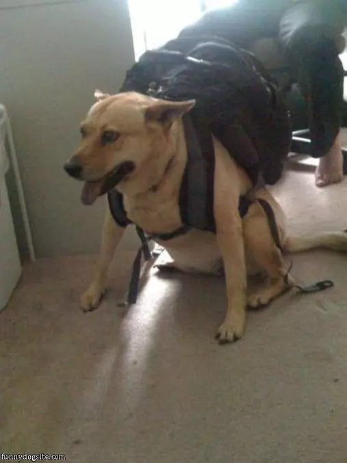 Ready For The Hike