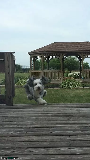 Running So Fast