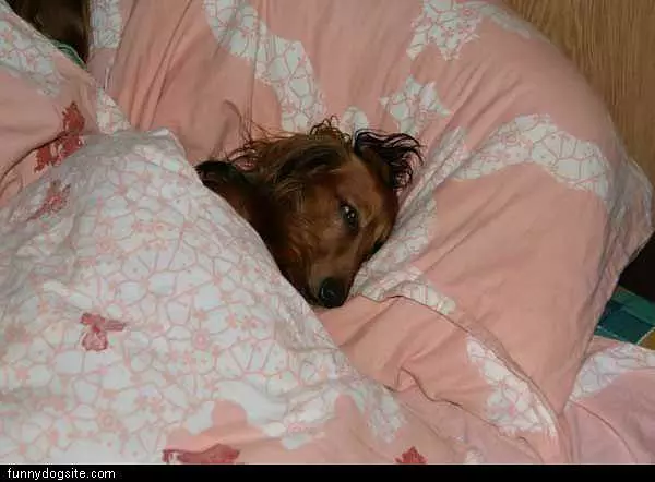 Not Getting Out Of Bed Today