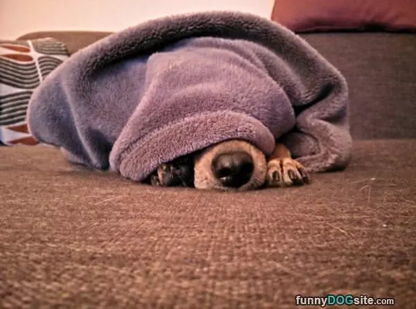 Hiding Me Eyes