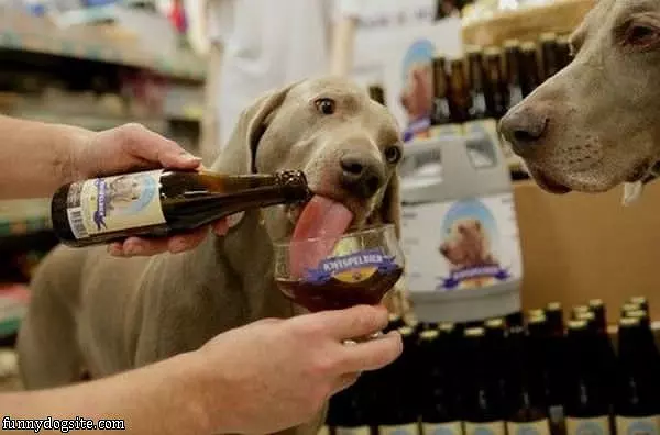Thats Good Stuff