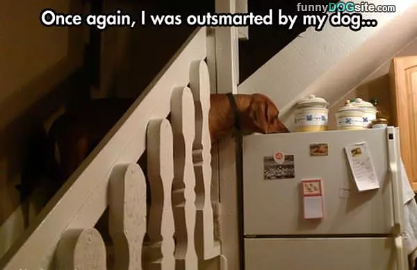Outsmarted
