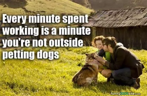 Petting Dogs