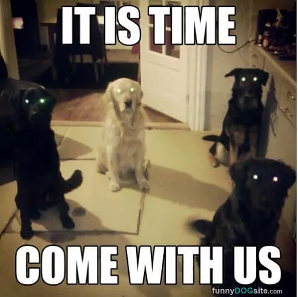 It Is Time