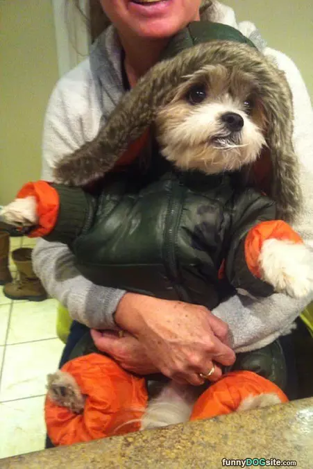Prepared For Winter
