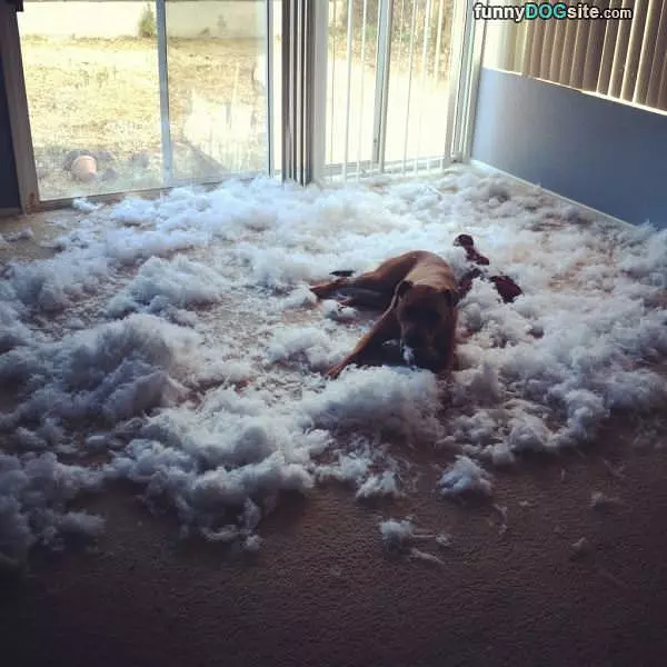 Wasnt Me