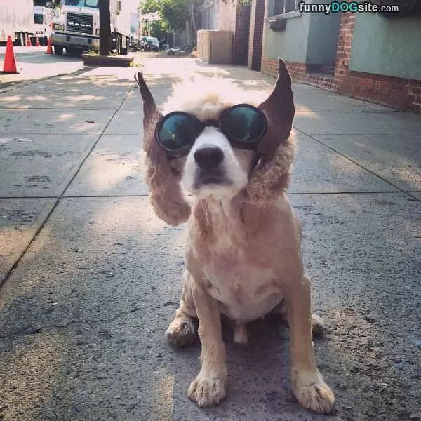 Im All Ears