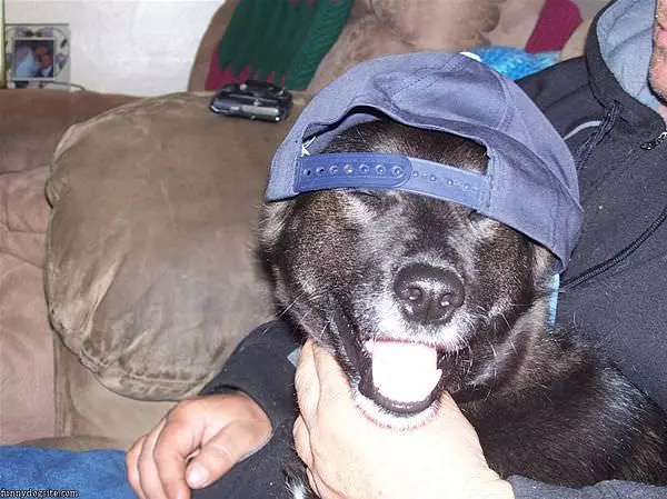 Nice Hat