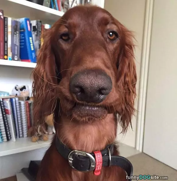 Enough Of Your Lip