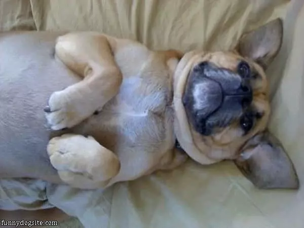 How I Feel Like Sleeping