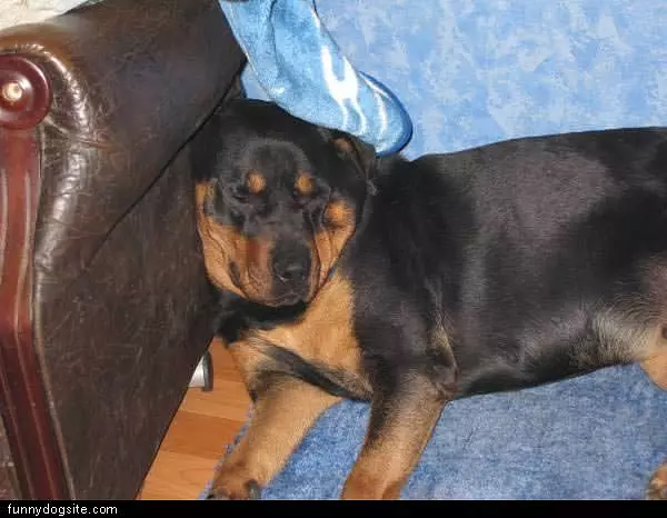Very Relaxed