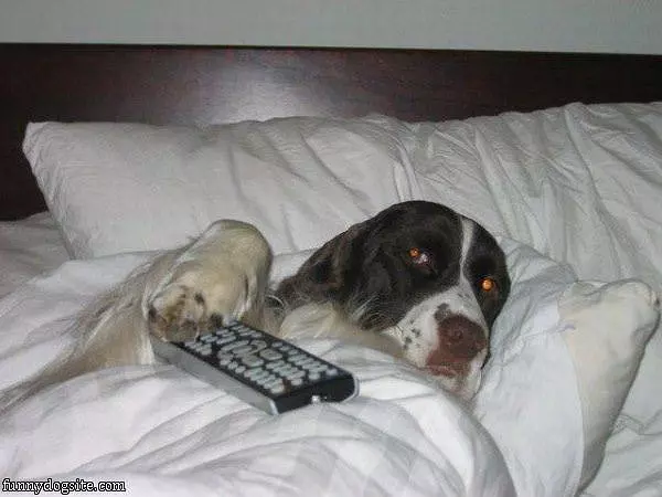 Sleeping In Today