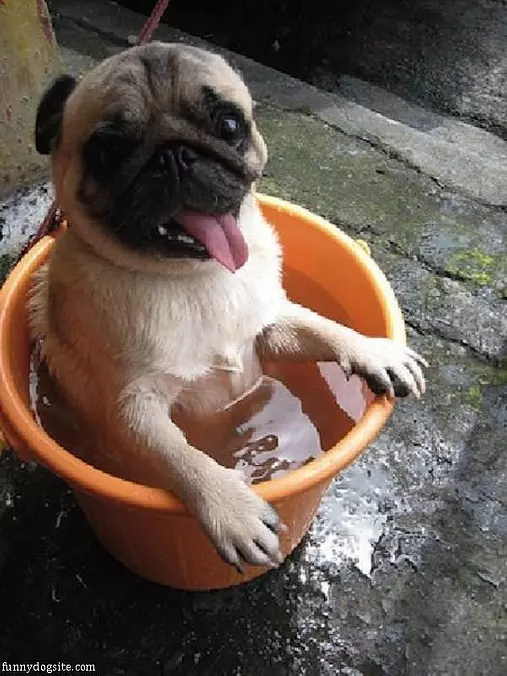 Taking A Bath
