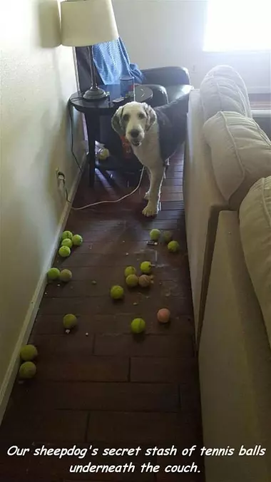 This Is My Secret Stash