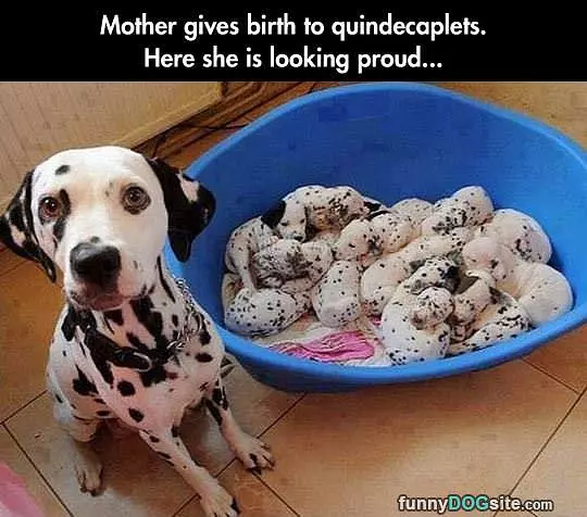 Proud Mom