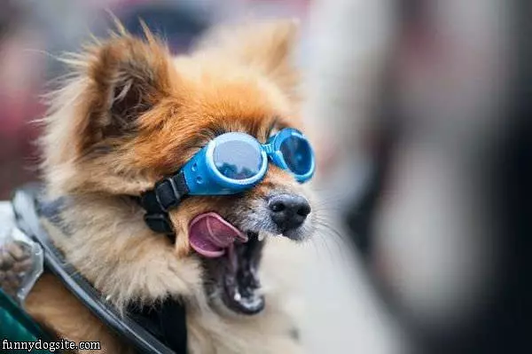 Im Ready For Wind