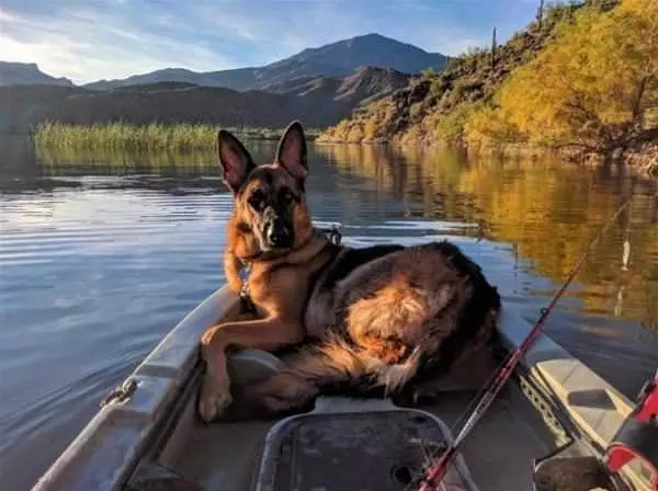 A Fun Day Of Fishing
